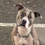 Ersteller:in Cenk Profilbild