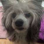 Ersteller:in P Profilbild