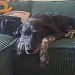 Ersteller:in Hannah Profilbild