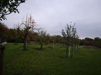 Hundeauslaufgebiet-Kriftel Wasserwerk-Bild