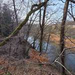 Hundeauslaufgebiet-Auenlandweg-Bild