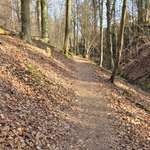 Hundeauslaufgebiet-Auenlandweg-Bild