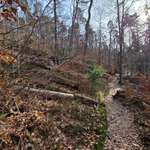 Hundeauslaufgebiet-Auenlandweg-Bild
