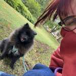 Ersteller:in Annabell Profilbild