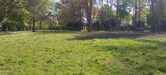Hundeauslaufgebiet-Vitusstraße-Bild