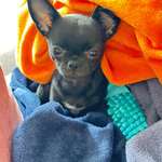 Ersteller:in Espresso Profilbild