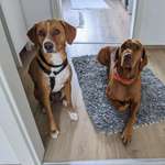 Ersteller:in Natascha Profilbild