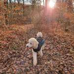 Ersteller:in Lisa Profilbild