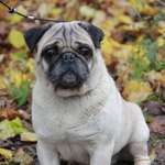 Ersteller:in Andrea Profilbild