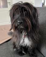 Suchmeldung-Sunny-Bild