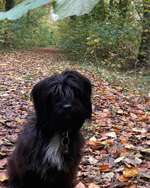 Suchmeldung-Sunny-Bild