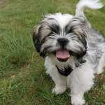 Ersteller:in Andreas Profilbild