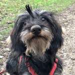 Ersteller:in Lena Profilbild