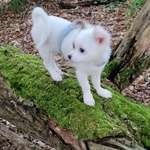 Ersteller:in Ulrike Profilbild