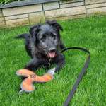 Ersteller:in Melissa Profilbild