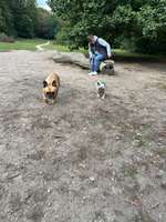 Hundeauslaufgebiet-Niendorfer Gehege-Bild