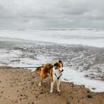 Ersteller:in Isa Profilbild