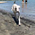 Ersteller:in Daniela Profilbild