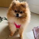 Ersteller:in Dilara Profilbild