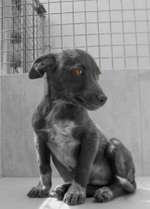 Countdown bis zu Abholung-Beitrag-Bild