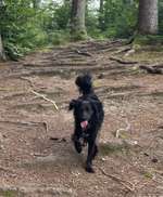 Suchmeldung-Makani (Kanoa)-Bild