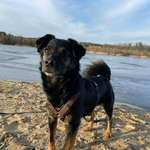 Ersteller:in Melina Profilbild