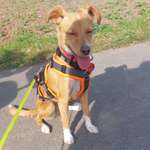 Ersteller:in Stephanie Profilbild