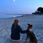 Ersteller:in Julia Profilbild