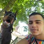 Ersteller:in Tiberiu Profilbild