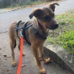 Ersteller:in Meri Profilbild