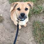 Ersteller:in Hannah Profilbild