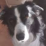 Ersteller:in Mia Profilbild