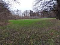 Hundeauslaufgebiet-Schlosswiesen-Bild