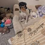 Ersteller:in Mandy Profilbild