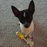 Ersteller:in Alina Profilbild