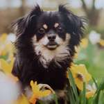 Ersteller:in J Profilbild