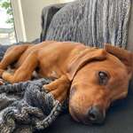 Ersteller:in Jenny & Maxi Profilbild