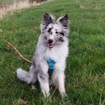 Ersteller:in Jen Profilbild