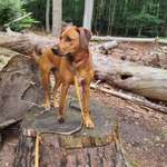 Ersteller:in Nicole Profilbild