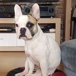 Ersteller:in Konstantin Profilbild