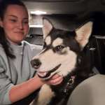 Ersteller:in Felicia Profilbild