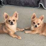 Ersteller:in Stefanie Profilbild