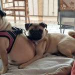 Ersteller:in Ute Profilbild