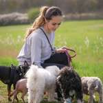 Ersteller:in Tansila Profilbild