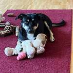 Ersteller:in Bettina Profilbild