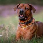 Ersteller:in Susanne Profilbild