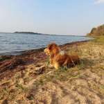 Ersteller:in Sarah Michelle Profilbild