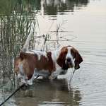 Ersteller:in Kathi Profilbild