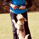 Ersteller:in Dornröschen Profilbild