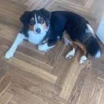 Ersteller:in Lena Profilbild